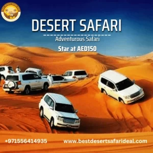 experience best desert safari Dubai