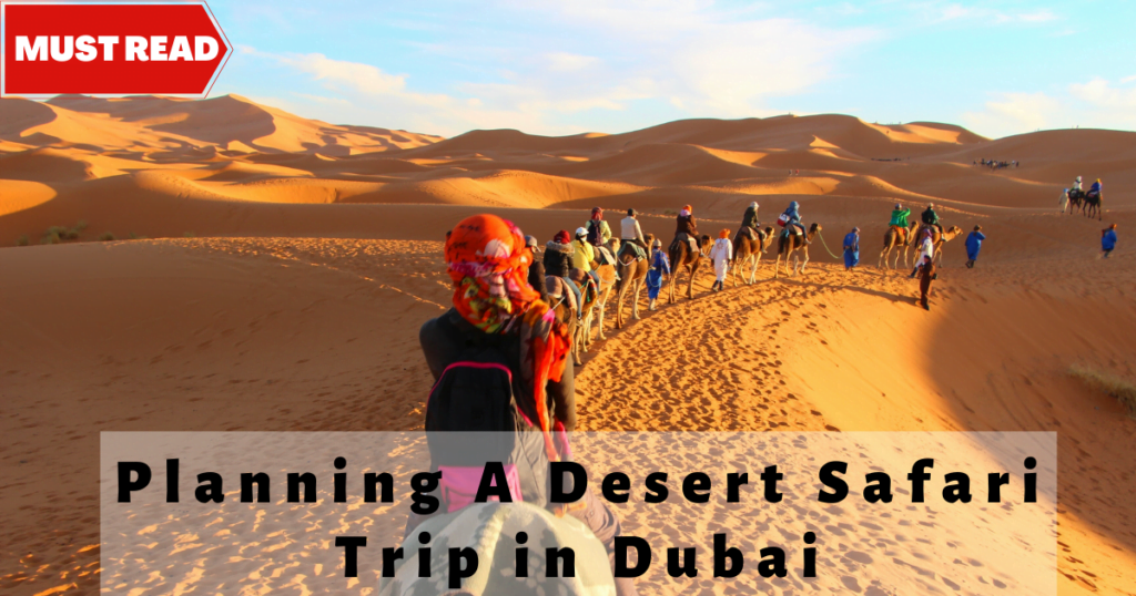 Desert Safari Trip in Dubai | Eagle Eyes