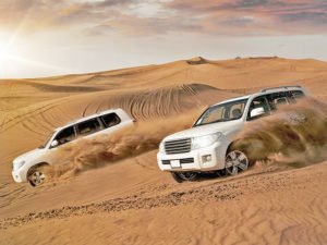 Red Dune Desert Safari | Dubai Red Dune Desert Safari