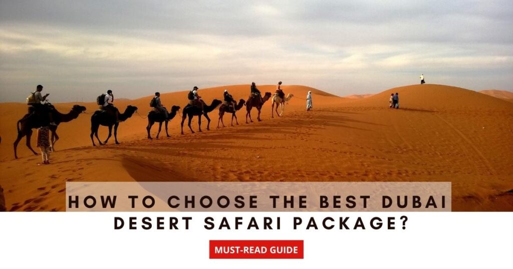 How to Choose The Best Dubai Desert Safari Package | Eagle Eyes