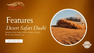 thrills of Desert Safari Dubai Features